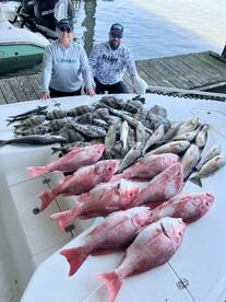 Slammin Big Snappers and Reds