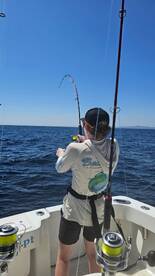 Tavira Report Photo 1