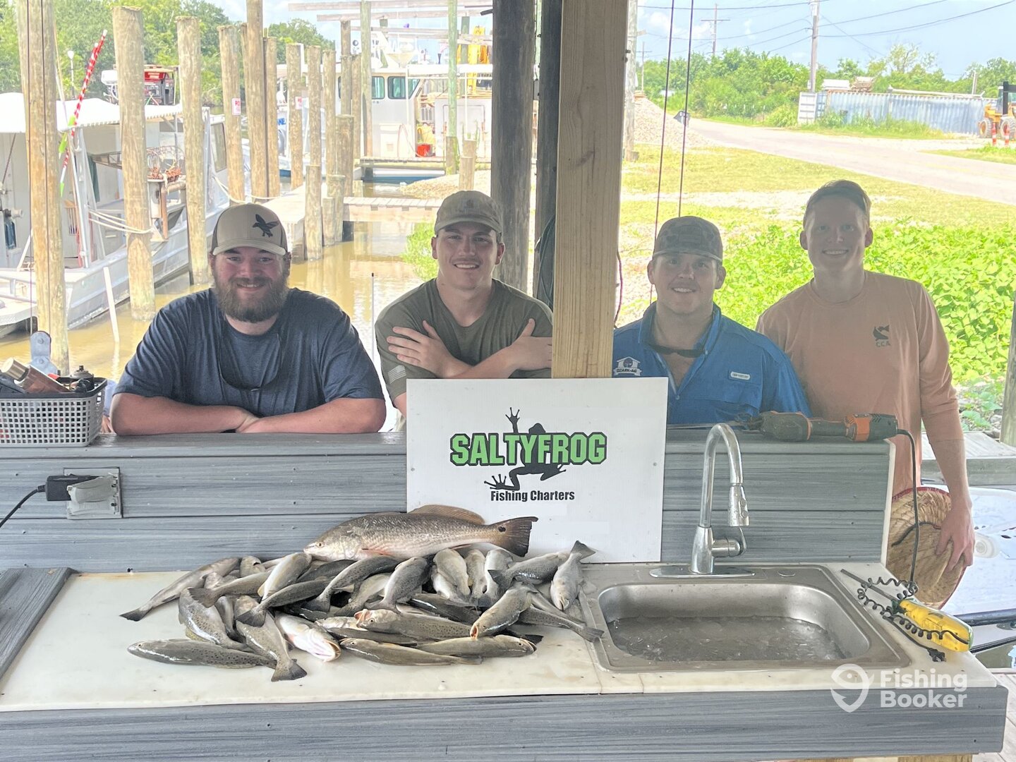 St. Bernard Report Photo 0