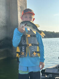 Branson Report Photo 1