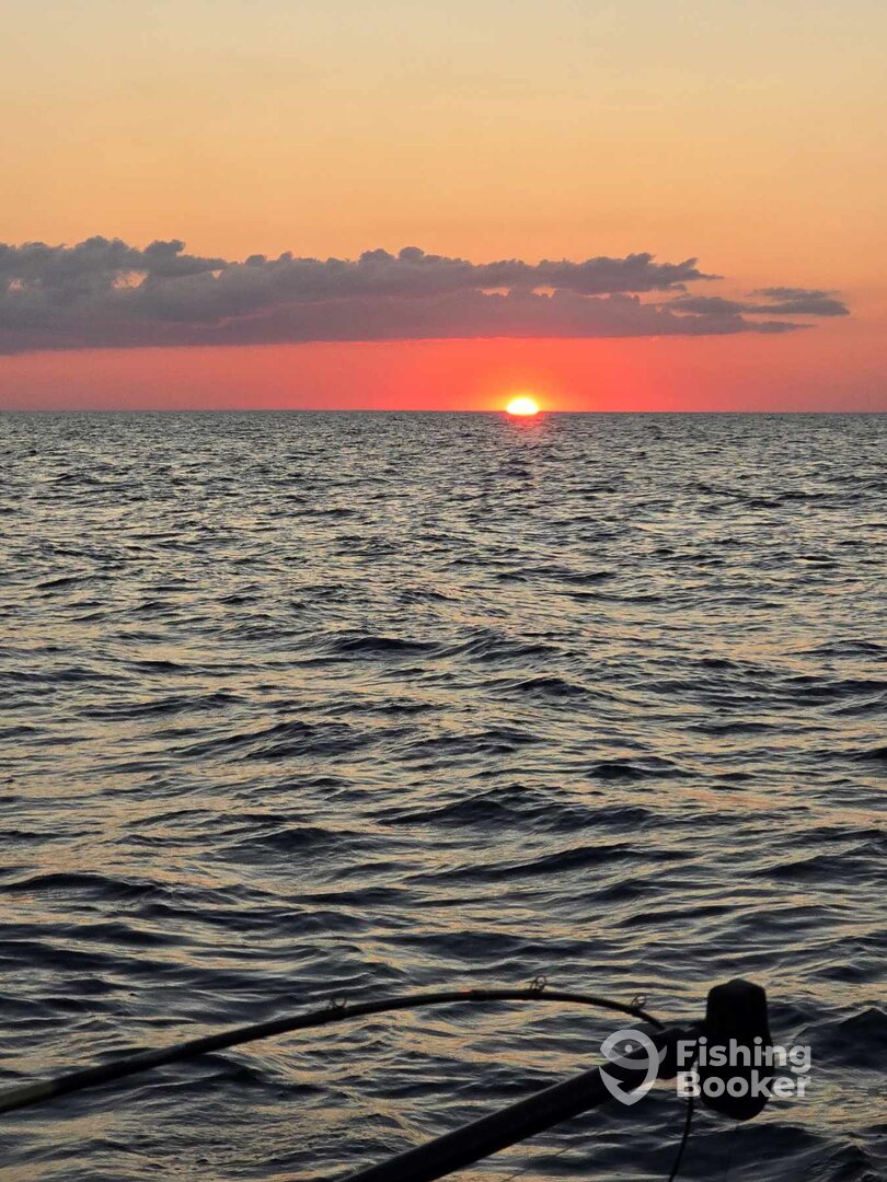 Ludington Report Photo 0