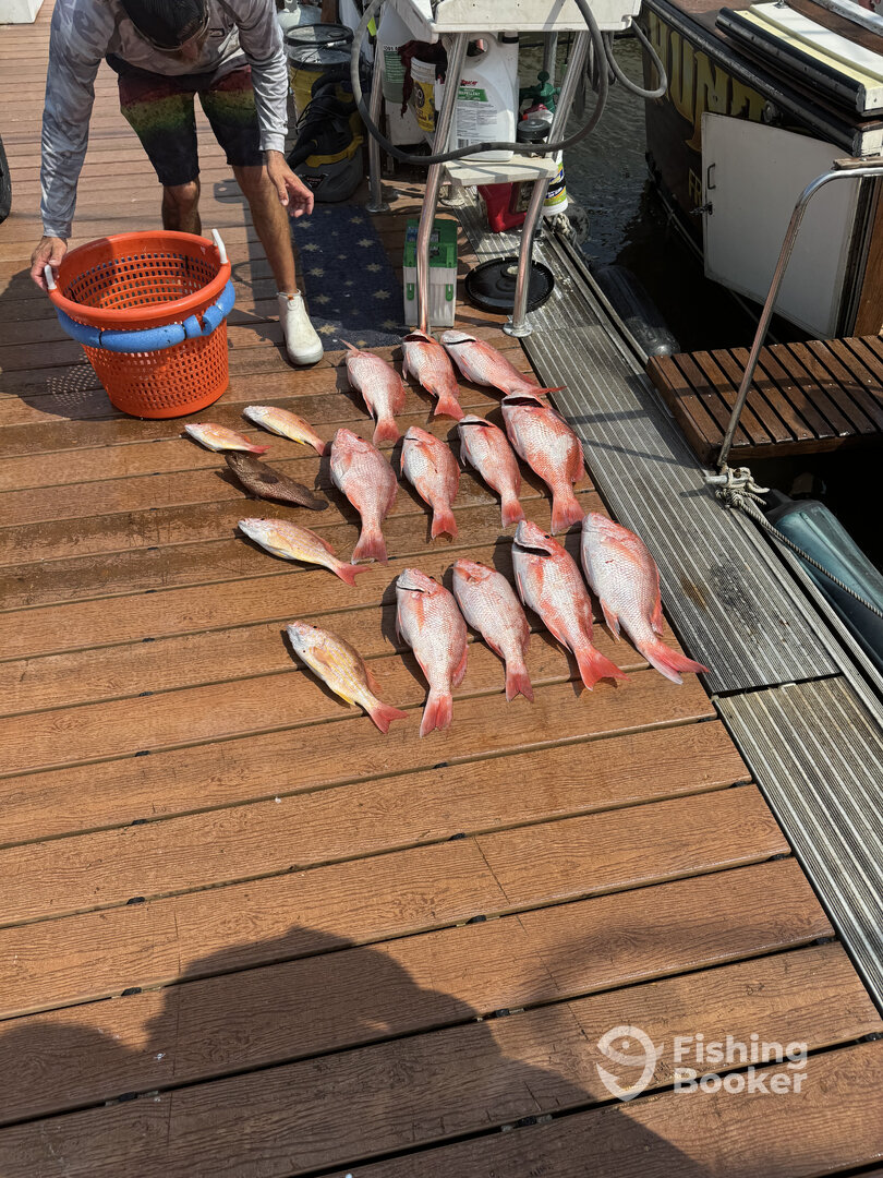 Freeport Report Photo 0