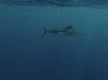 Herradura Report Photo 2