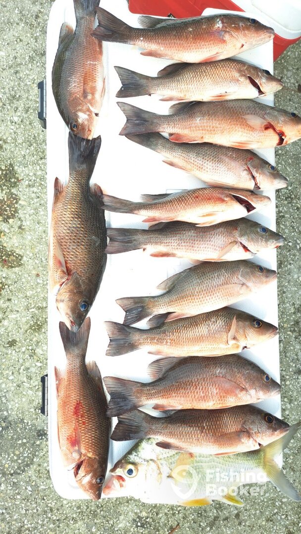 New Smyrna Beach Report Photo 0