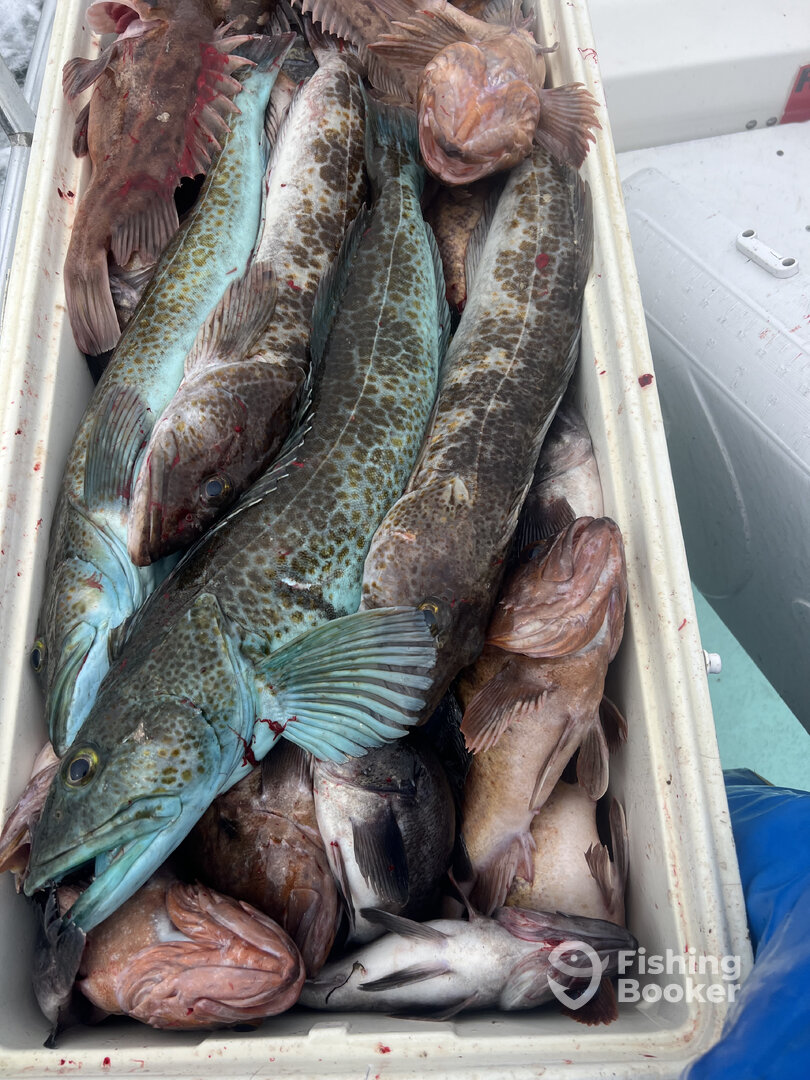 San Francisco Report Photo 0