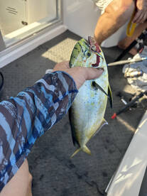 Limassol Report Photo 1