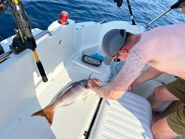 Pirovac Report Photo 3