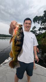 Gamboa Report Photo 2