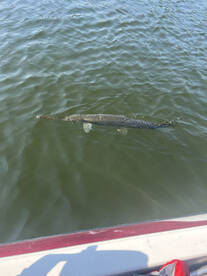 Middle Valley Report Photo 2