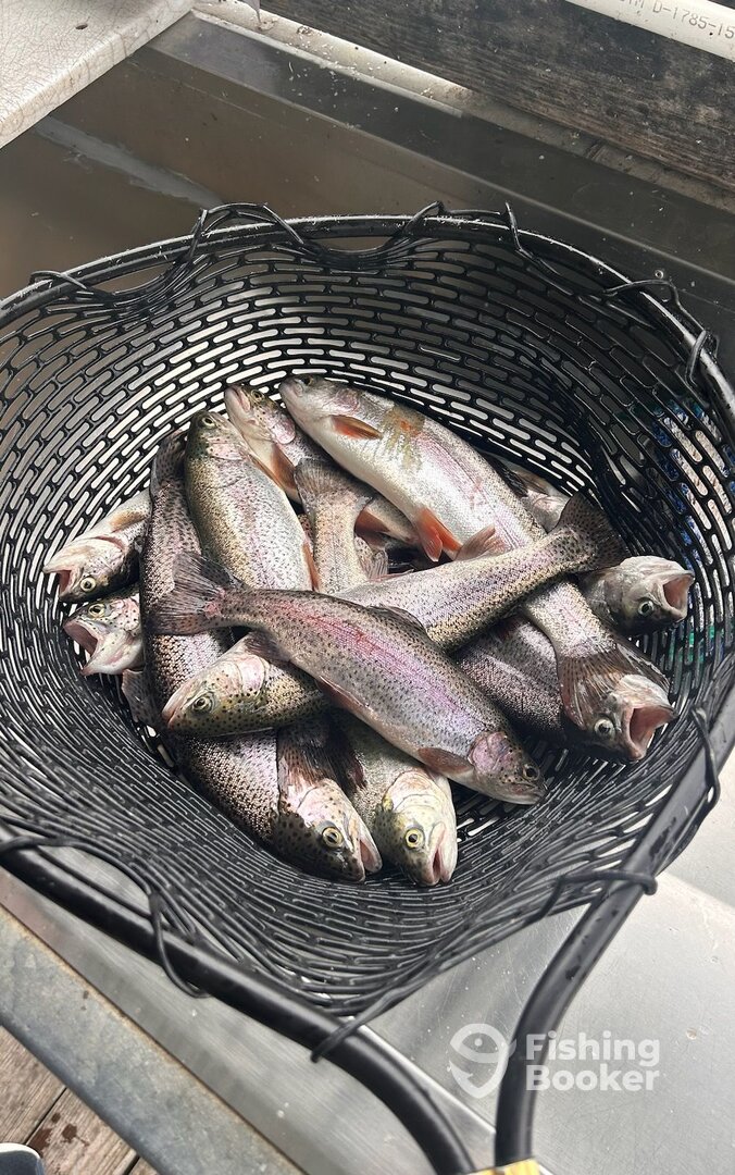 Cape Fair Report Photo 0