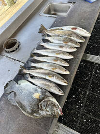 Lake Charles Report Photo 1