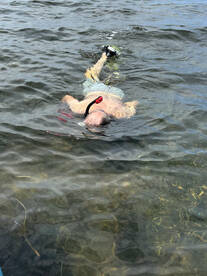 Steinhatchee Report Photo 2