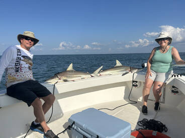 Mid Summer Shark Bannaza-Nearshore Trip