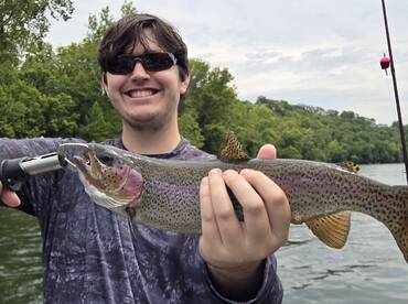 Branson Report Photo 2