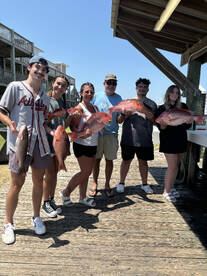 Gulf Shores Report Photo 2