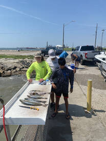 Galveston Report Photo 2