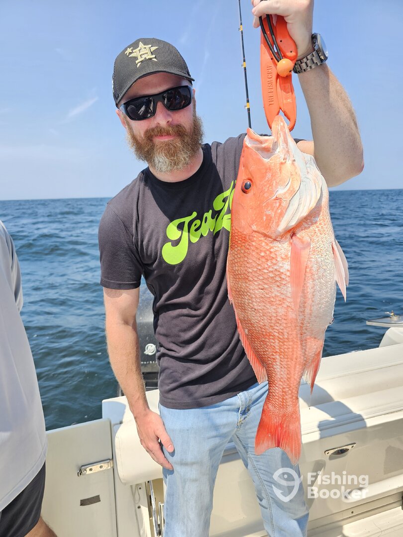 St. Simons Island Report Photo 0