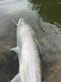 Warrenton Report Photo 2