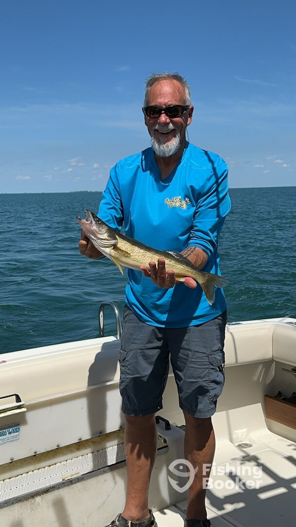 St. Clair Shores Report Photo 0