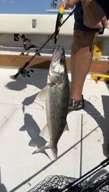 St. Clair Shores Report Photo 1