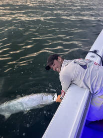 Silver King Key West