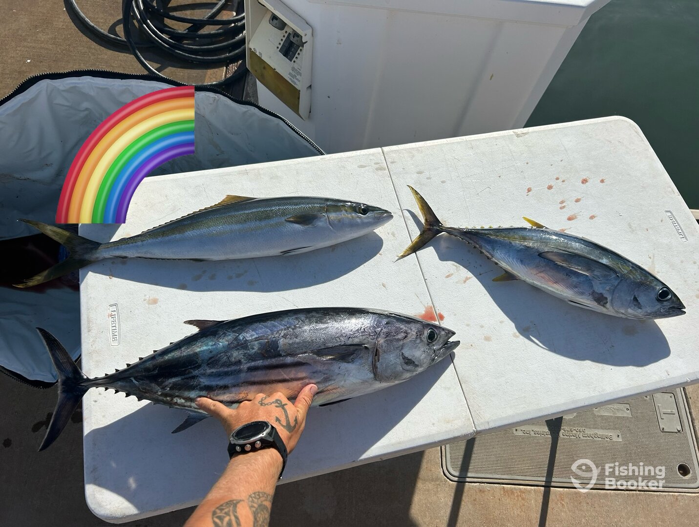 Afternoon Fun + Snorkel 