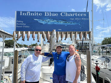 Mangrove Snappers on the reef
