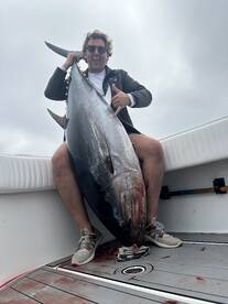 Wow! Jumbo grade bluefin!