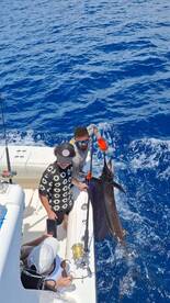 Playa Flamingo Report Photo 1