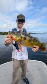 Gamboa Report Photo 2