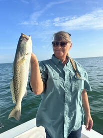 Holmes Beach Report Photo 2