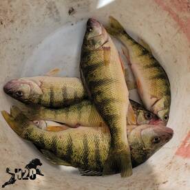 Lakeside Marblehead Report Photo 1