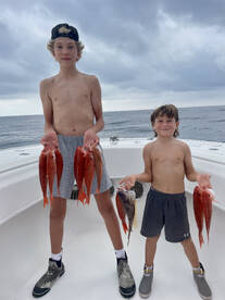 Insane Snapper Fishing