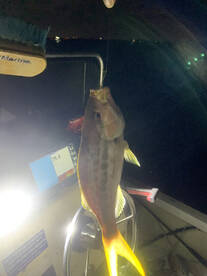 Boynton Beach Verslag Foto 2