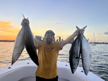 Tuna Frenzie - Miami