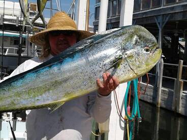 Big Bad Bull Mahi Mahi 