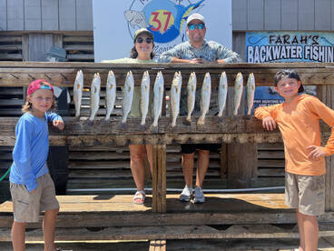 Trout bite is still fire 