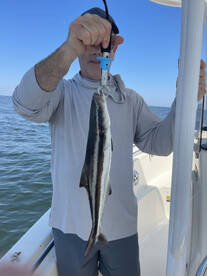 Nags Head Report Photo 1