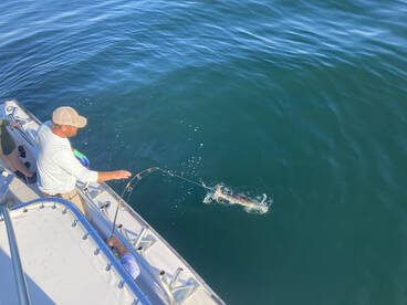 Nags Head Report Photo 1