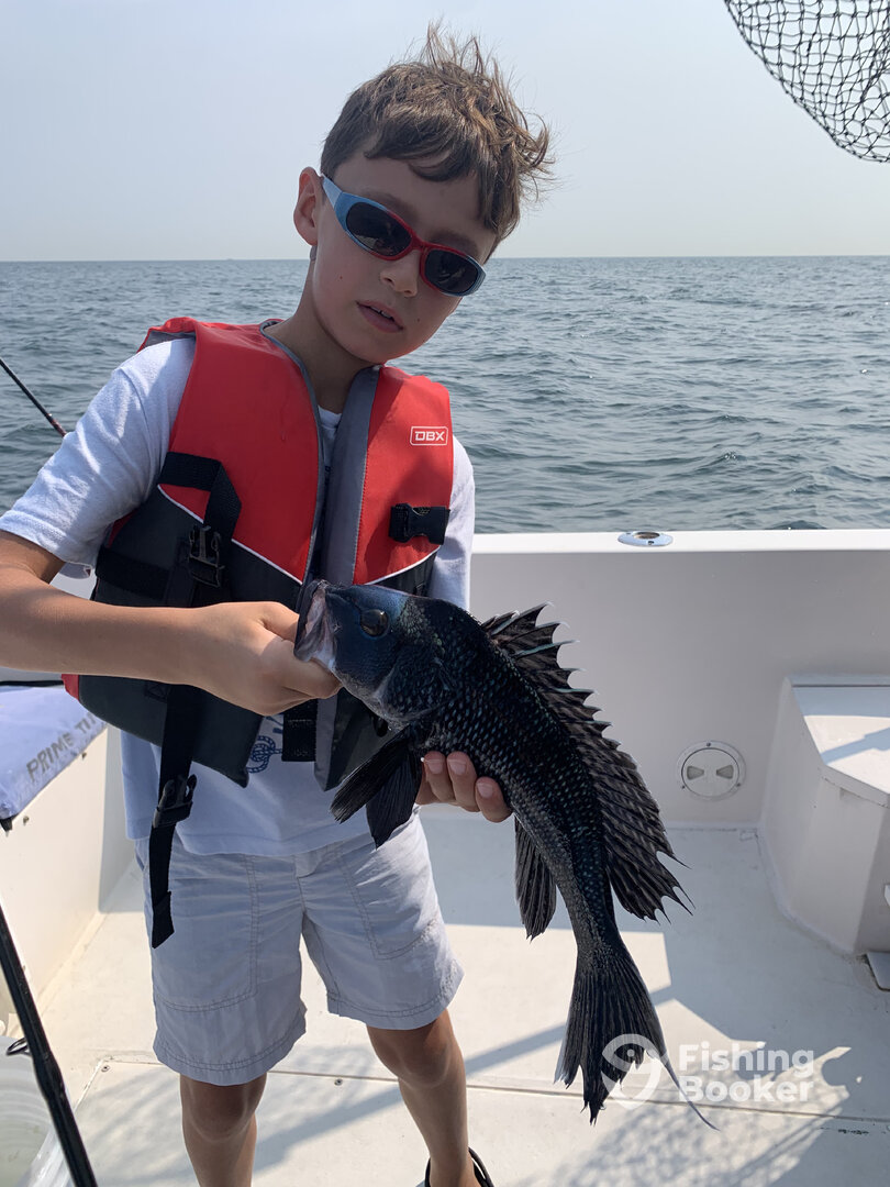 Highlands Report Photo 0