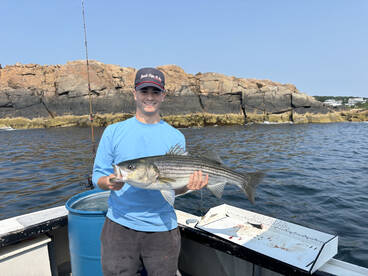 Striped bass frenzy