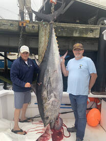 South Portland Report Photo 3