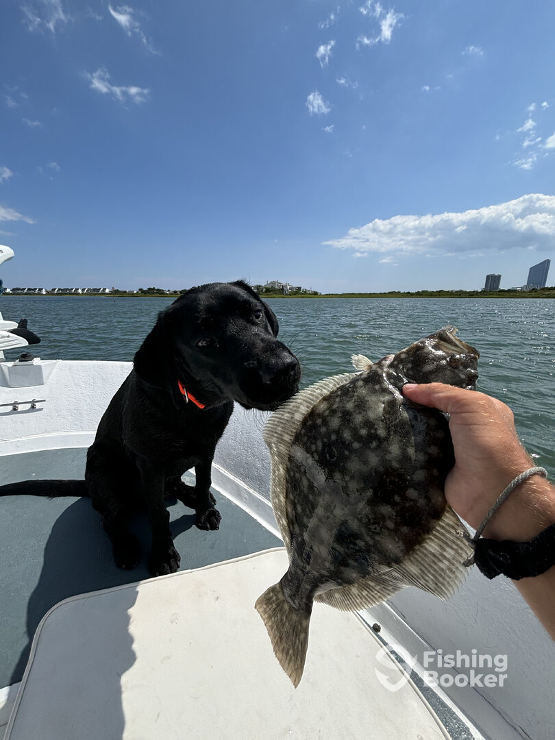 Atlantic City Report Photo 0