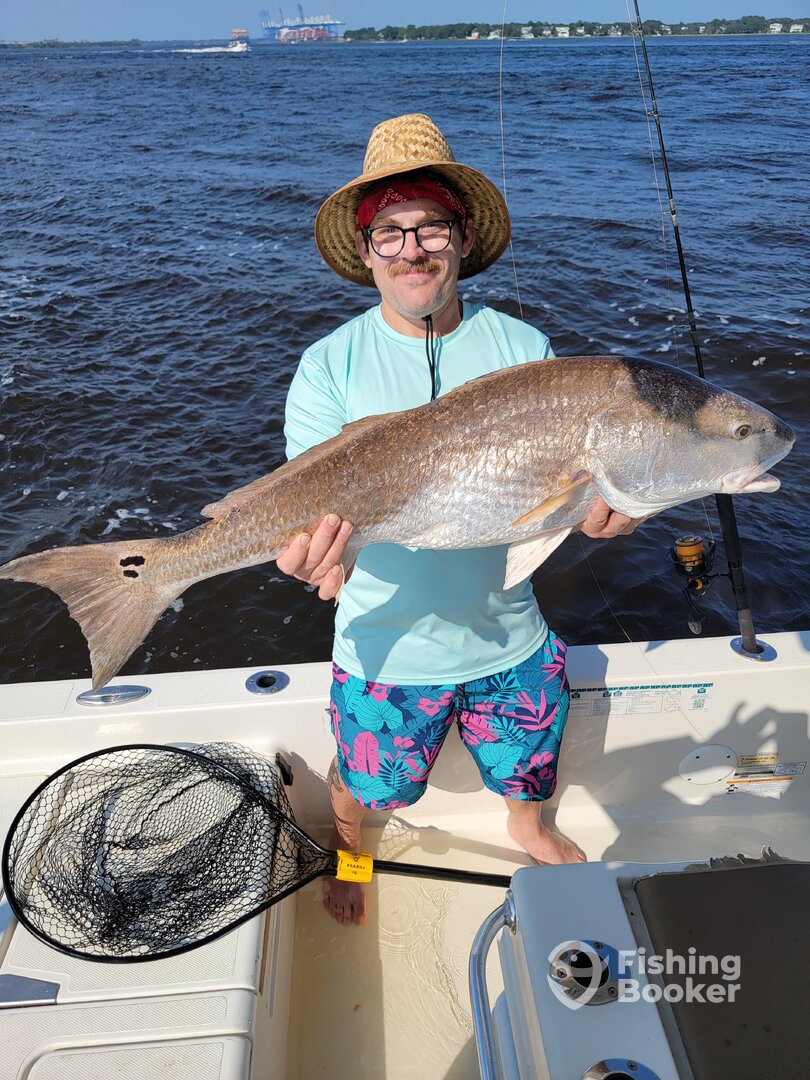 Mount Pleasant Report Photo 0