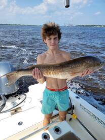 Mount Pleasant Report Photo 1