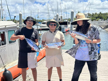 Haleiwa Report Photo 1