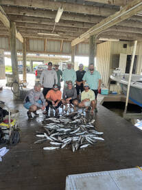 Theriot Report Photo 1