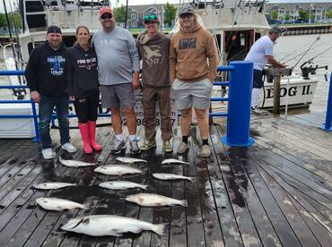 Sheboygan Report Photo 2