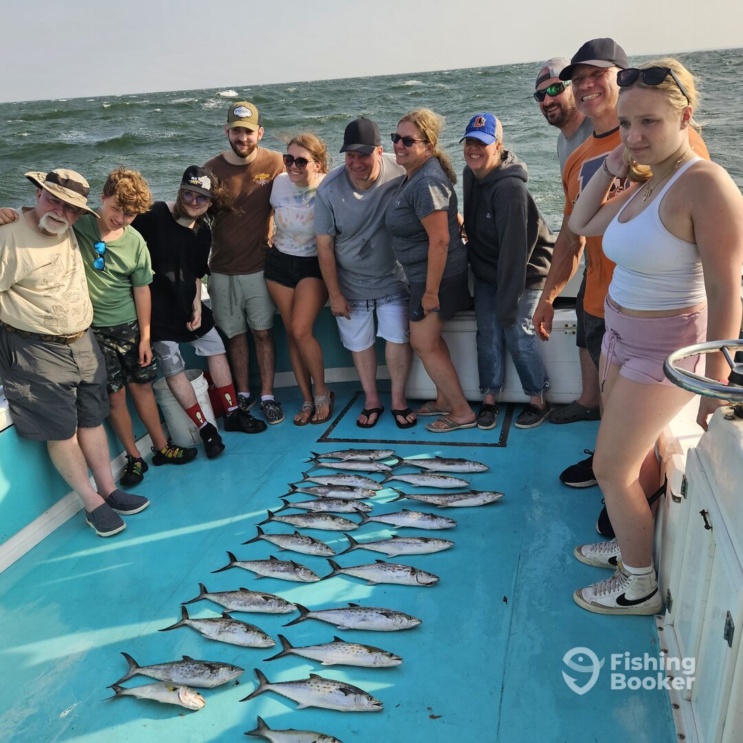 Solomons Report Photo 0