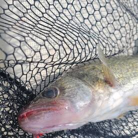 Lakeside Marblehead Report Photo 1